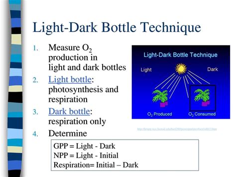 dark and light bottle test|gpp light and dark bottle.